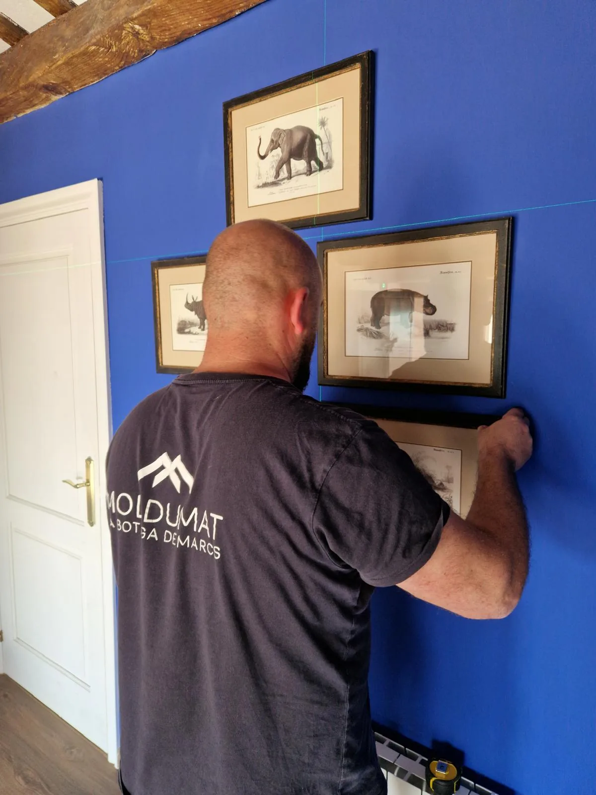 Operario de Moldumat colocando tres láminas de animales enmarcadas sobre una pared azul